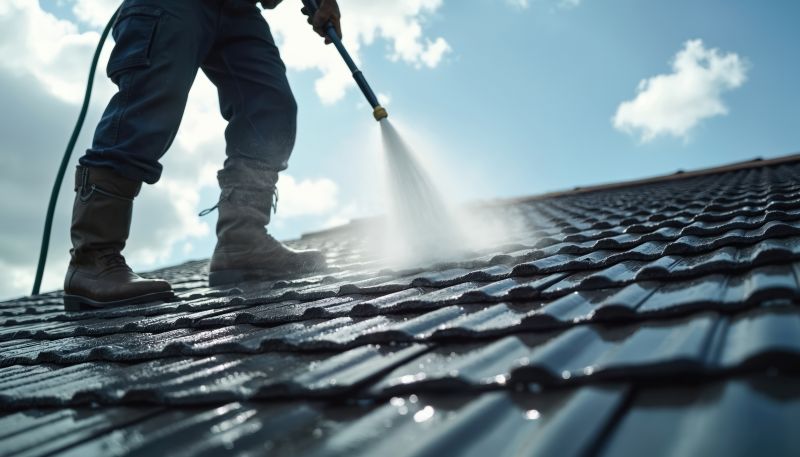 Asphalt Shingles Cleaning