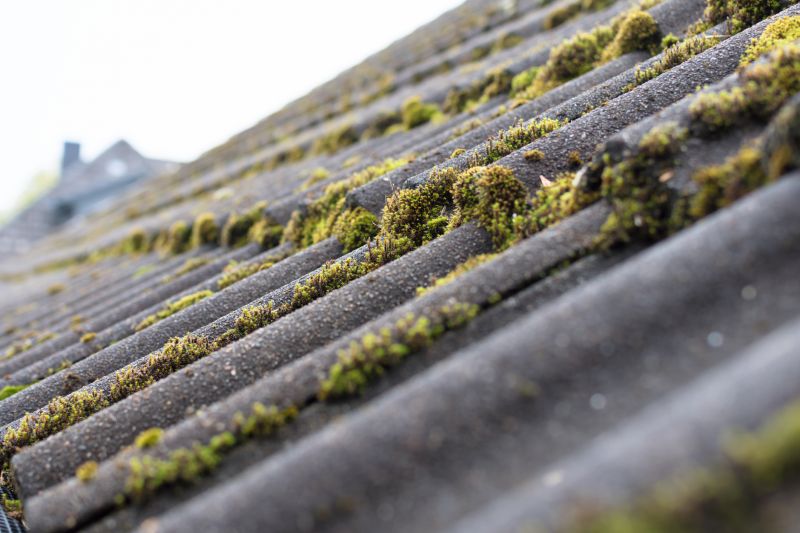 Church Roof Moss Removal