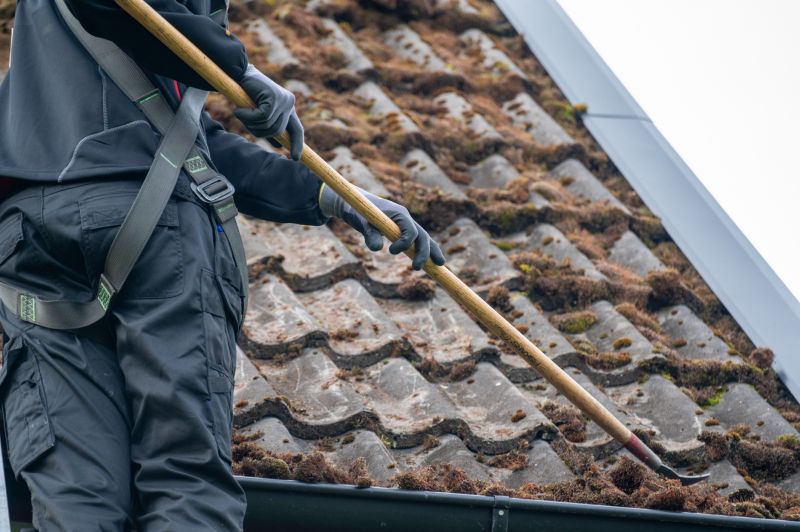Church Roof Moss Removal
