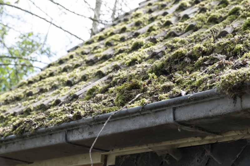 Church Roof Moss Removal