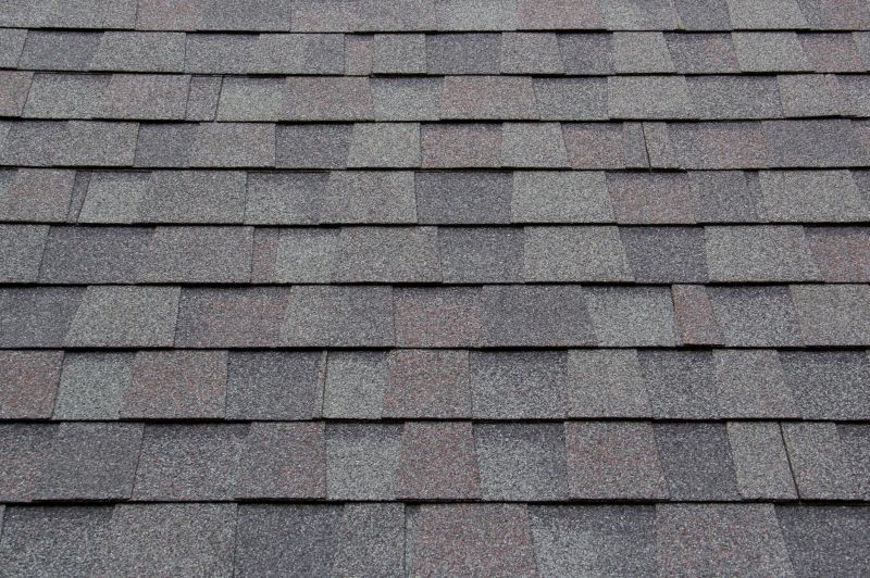 Asphalt Shingles Cleaning detail