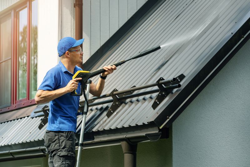 Metal Roof Cleaning detail