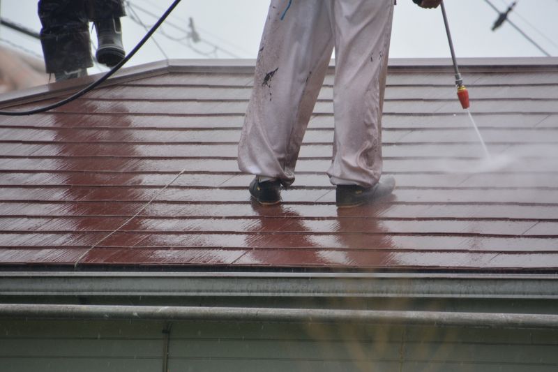 Roof Mildew Removal detail