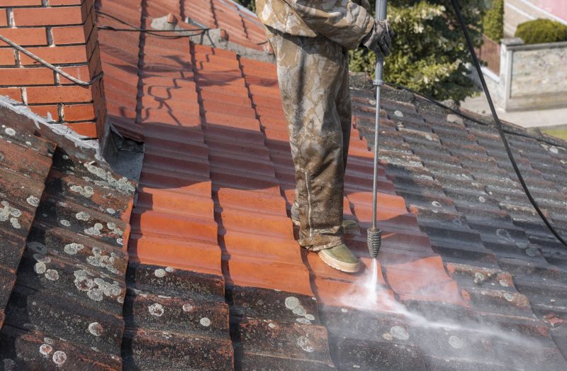 Roof Stain Removal detail