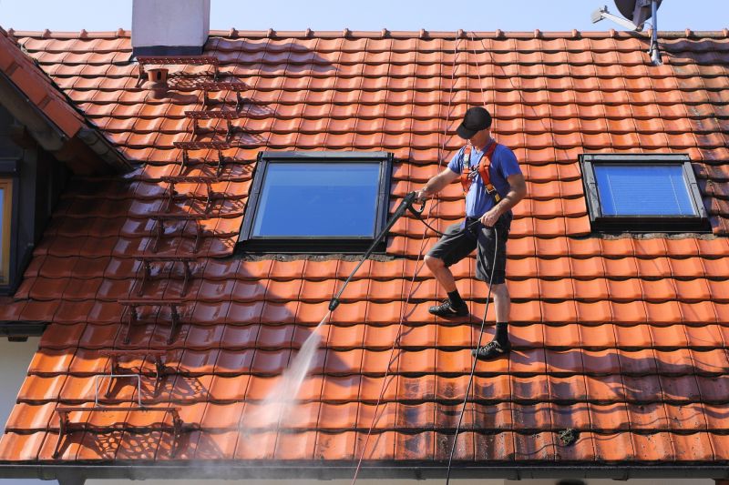 Tile Roof Cleaning detail