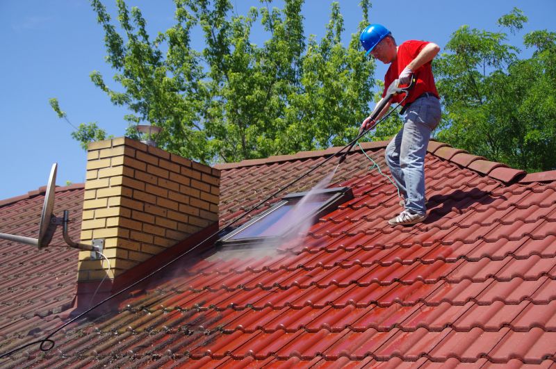 Tile Roof Cleaning detail